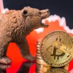 Bitcoin bear market Small