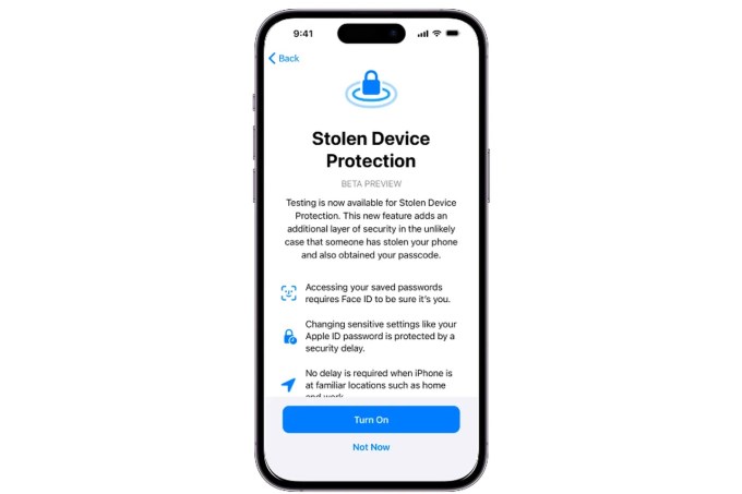 Apple has a new Stolen Device Protection mode in iOS 17.3 developer beta