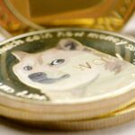 WIF And FLOKI Lead The Way As Dog-Themed Coins Soar 12%